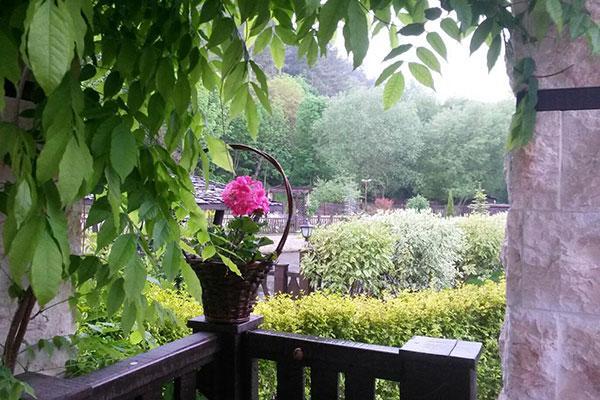 Gulubovtsi Guest House Pekliuk מראה חיצוני תמונה