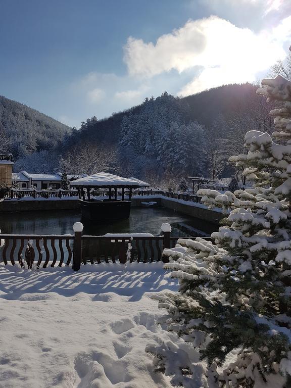 Gulubovtsi Guest House Pekliuk מראה חיצוני תמונה